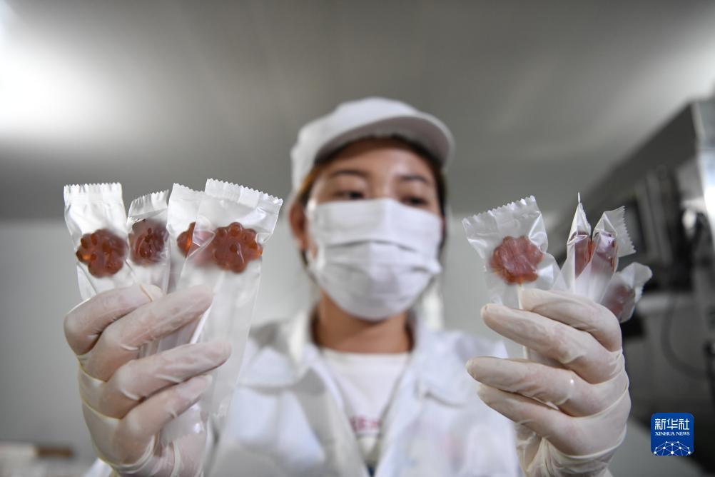 大红鹰官方网址多少?